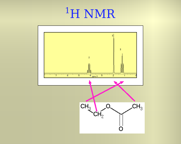 Slide 13