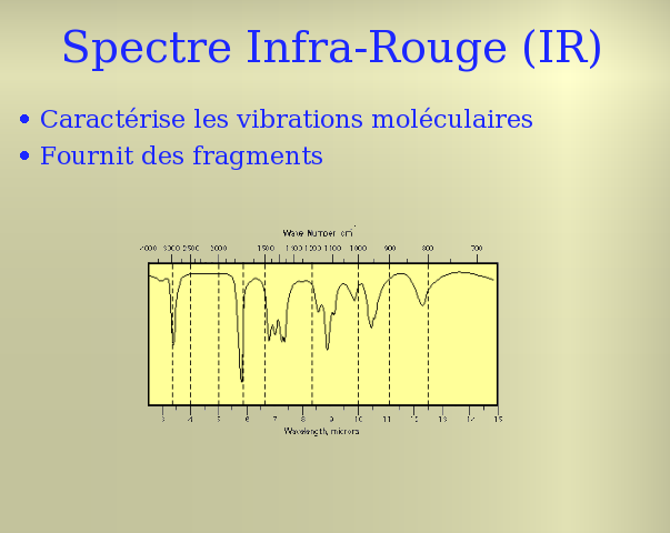 Slide 10