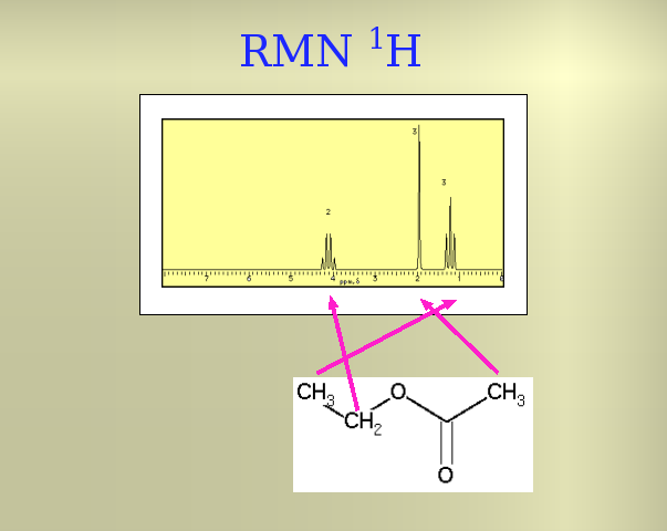 Slide 13